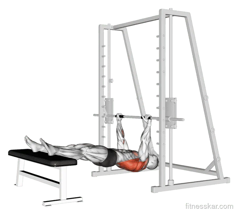 Inverted Row on Bench