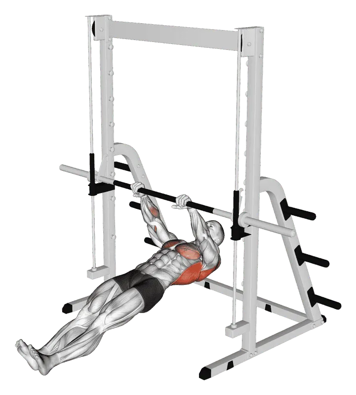 Inverted Row