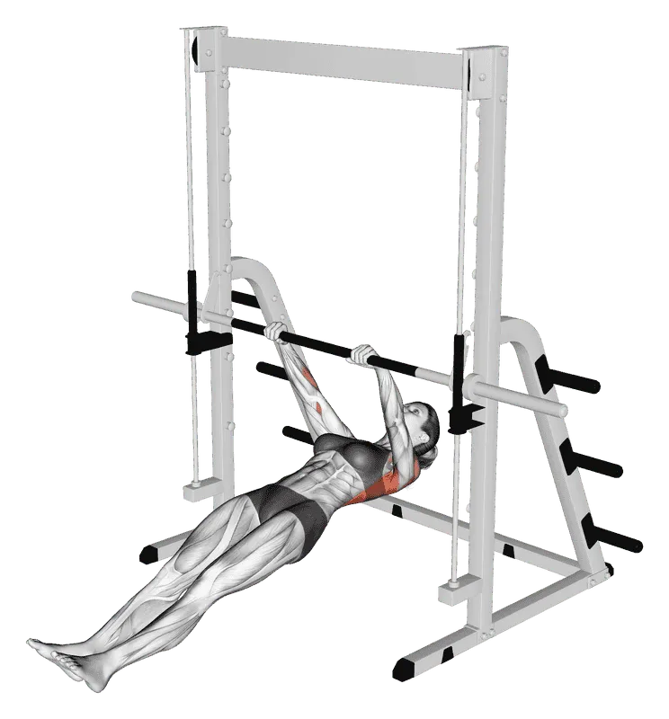 Inverted Row, Female demonstration, Start