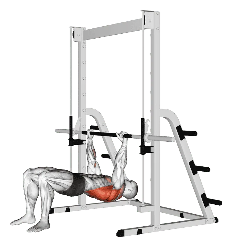 Inverted Row with Bent Knees, Male demonstration, Start