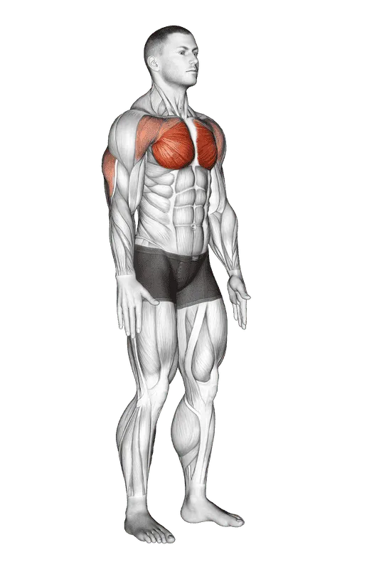 Isometric Chest Squeeze