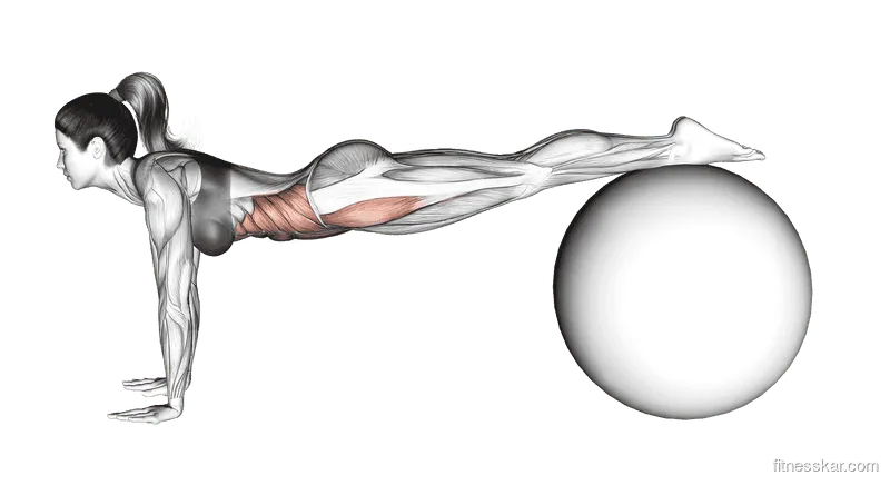 Jackknife on Exercise Ball, Female demonstration, Start