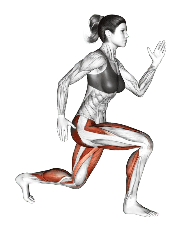 Jump Split Plyometrics