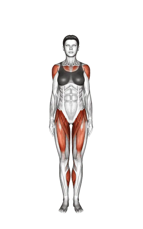 Jumping Jack, Female demonstration, Start