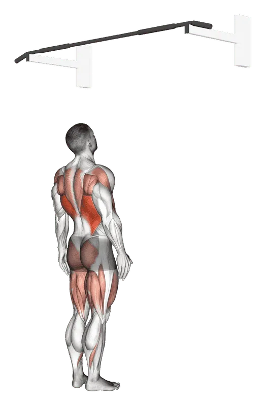 Jumping Pull-Up, Male demonstration, Start