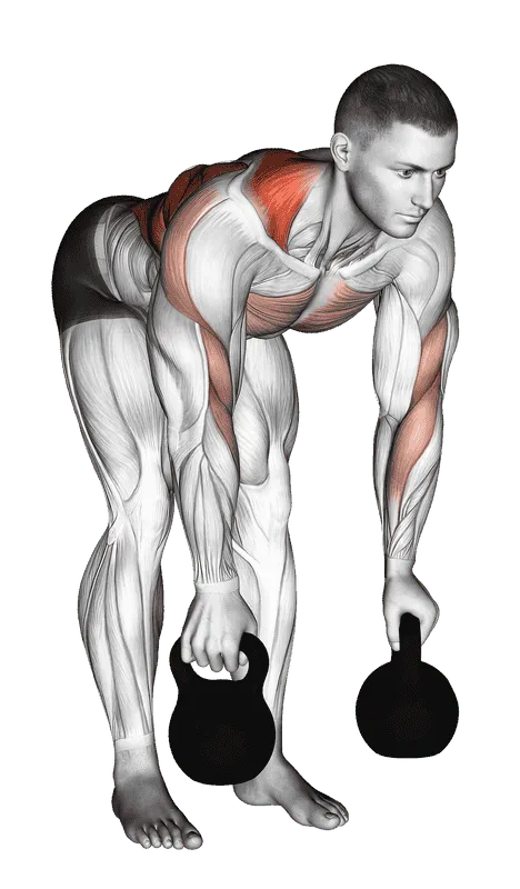 Kettlebell Alternating Row, Male demonstration, Start