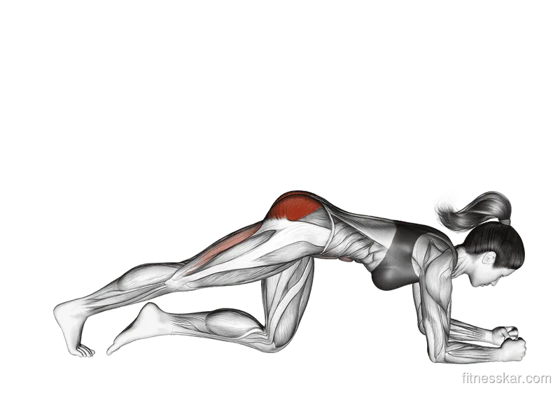 Kicks Leg Bent Hips, Female demonstration, Start