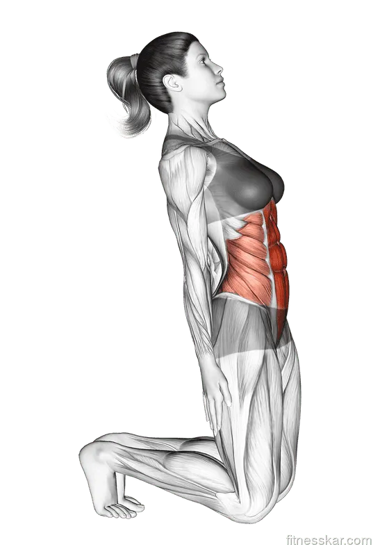 Kneeling Abdominal Stretch, Female demonstration, Start