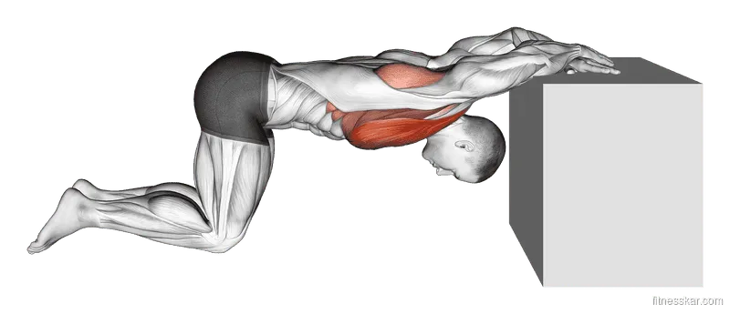 Kneeling Chest Stretch