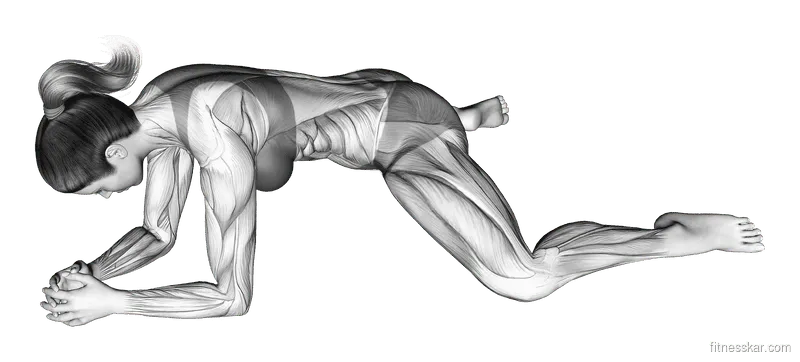 Kneeling Face-Down Adductor Stretch, Female demonstration, Start