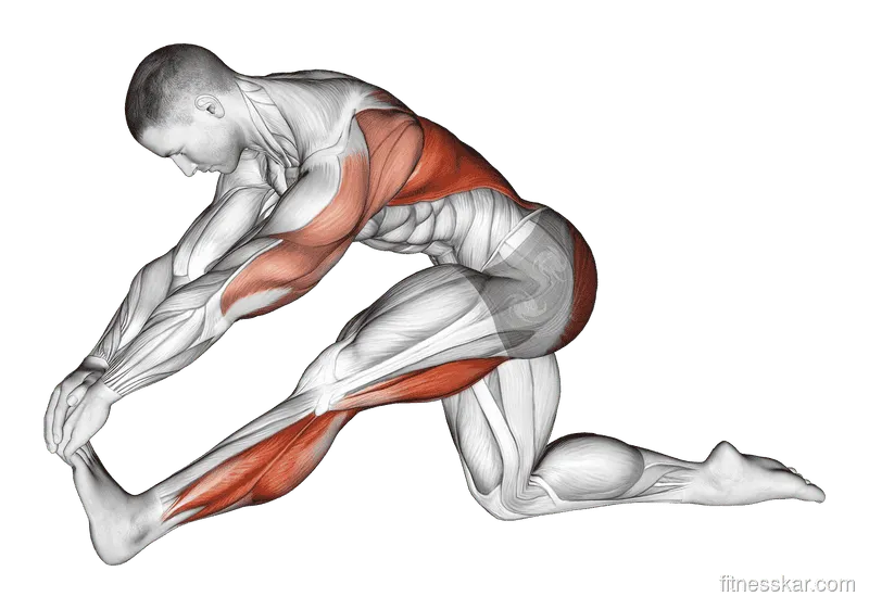 Kneeling Toe-Up Hamstring Stretch, Male demonstration, Start