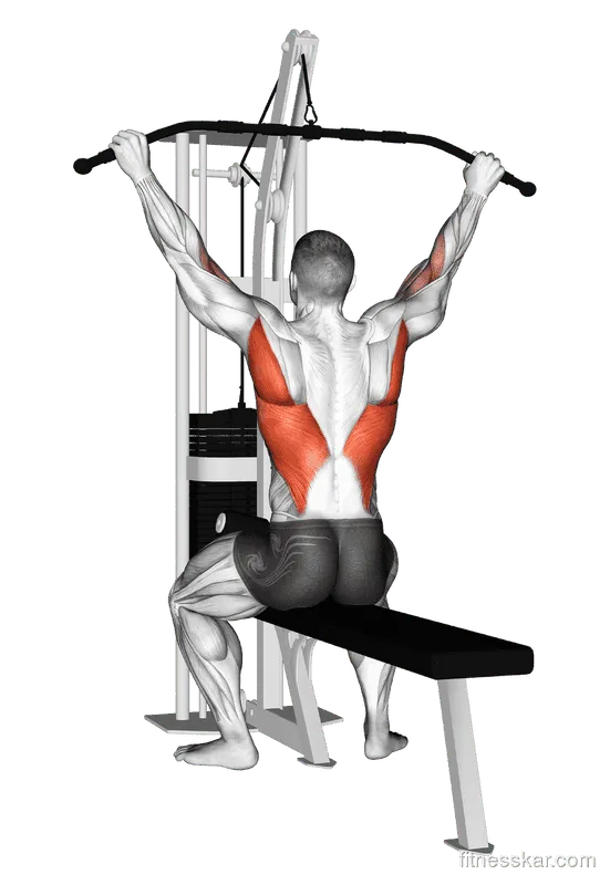 Lat Pulldown