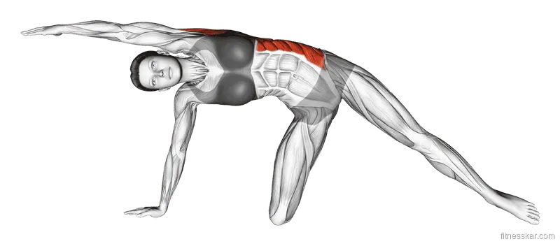 Lateral Bend on Floor by Kneeling, Female demonstration, Start