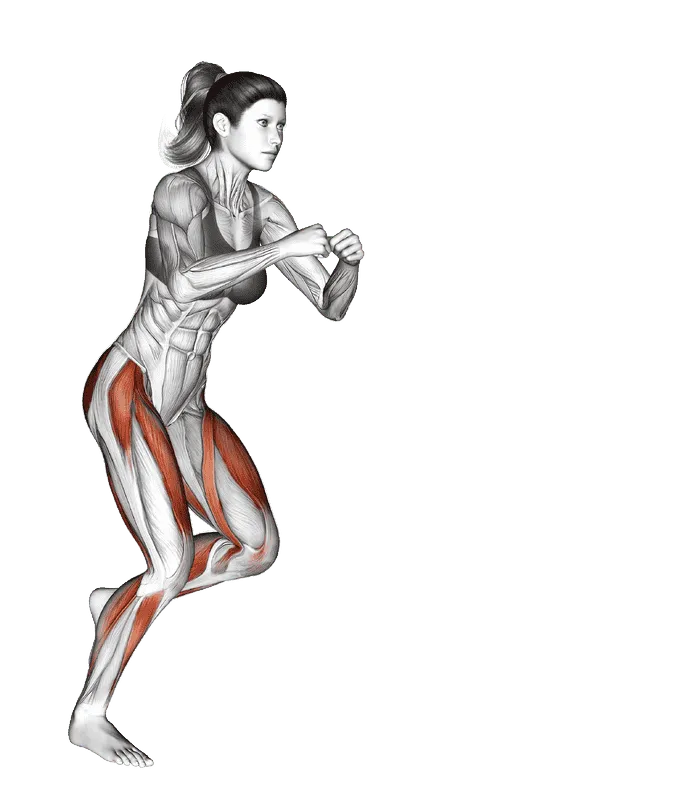 Lateral Speed Step, Female demonstration, Start