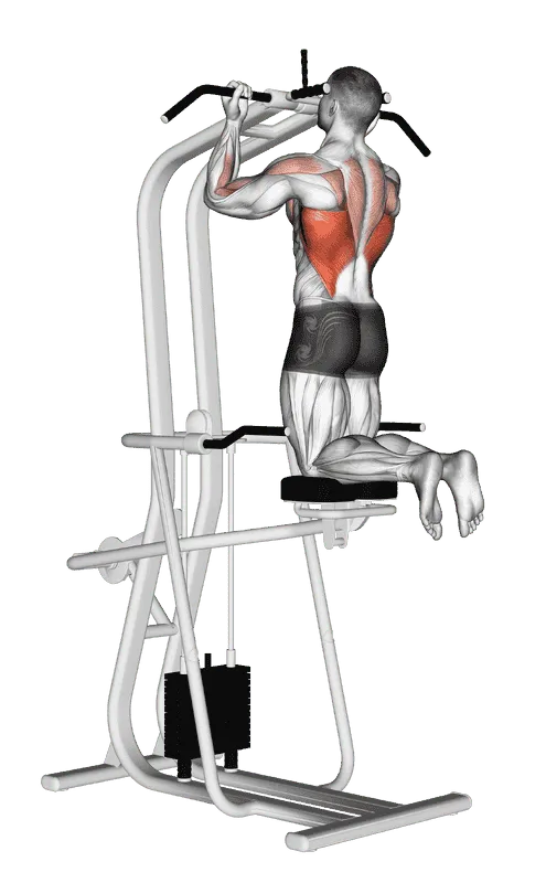 Lever-Assisted Chin-Up