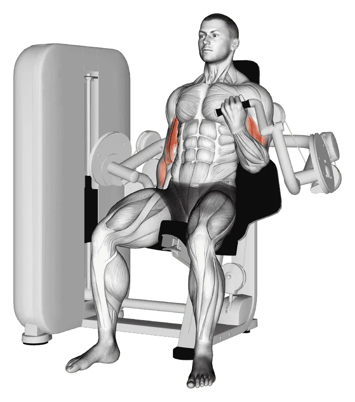 Lever Alternate Biceps Curl