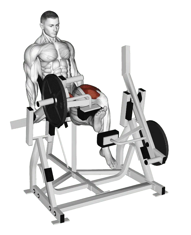 Lever Alternate Leg Extension (Plate-Loaded), Male demonstration, Start