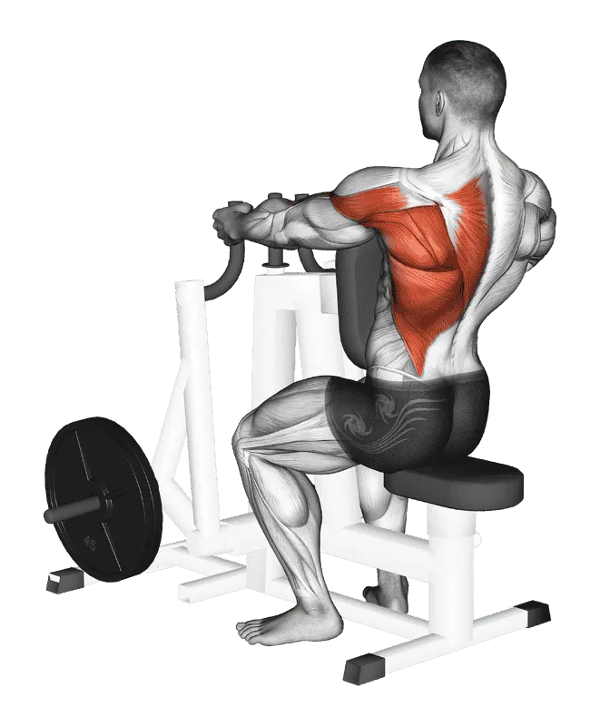 Lever Alternating Narrow Grip Seated Row (Plate-Loaded), Male demonstration, Start