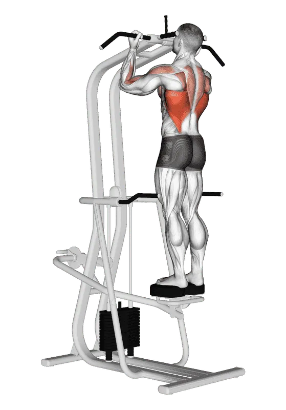 Lever Assisted Standing Chin-Up