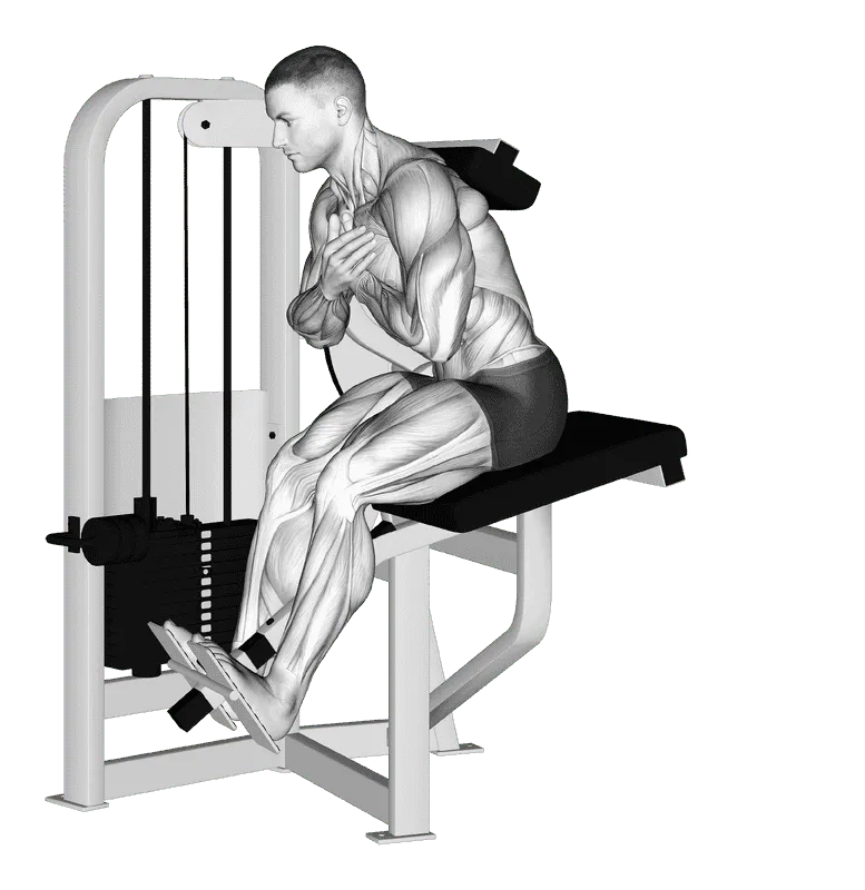 Lever Back Extension (Version 2), Male demonstration, Start