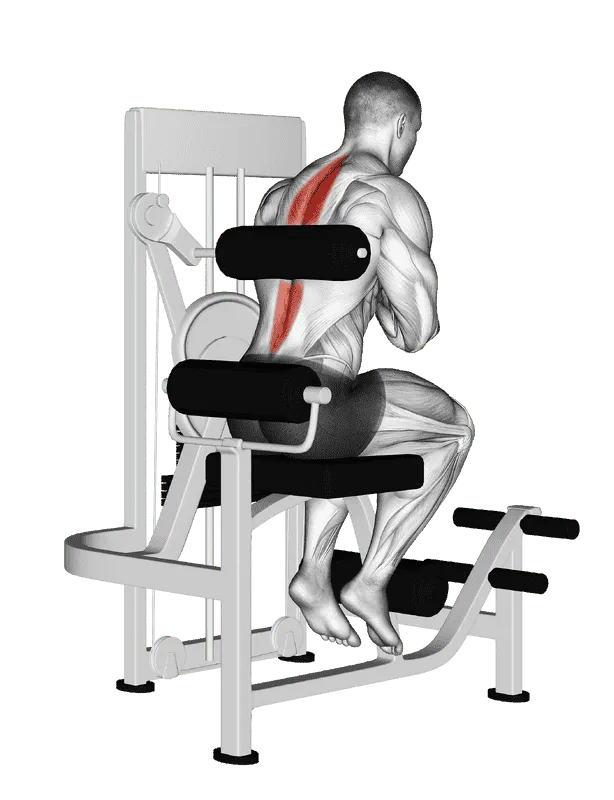 Lever Back Extension