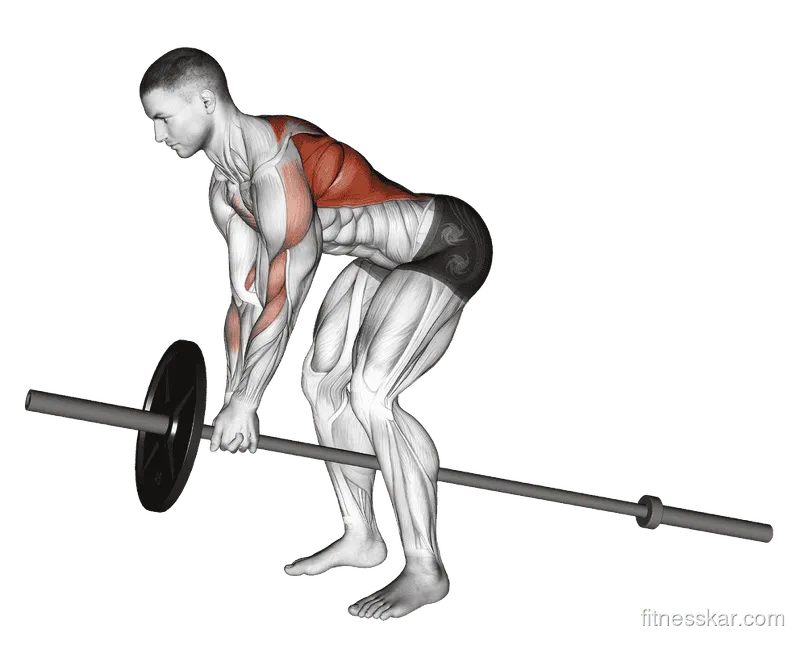 Lever Bent-over Row (plate-loaded)