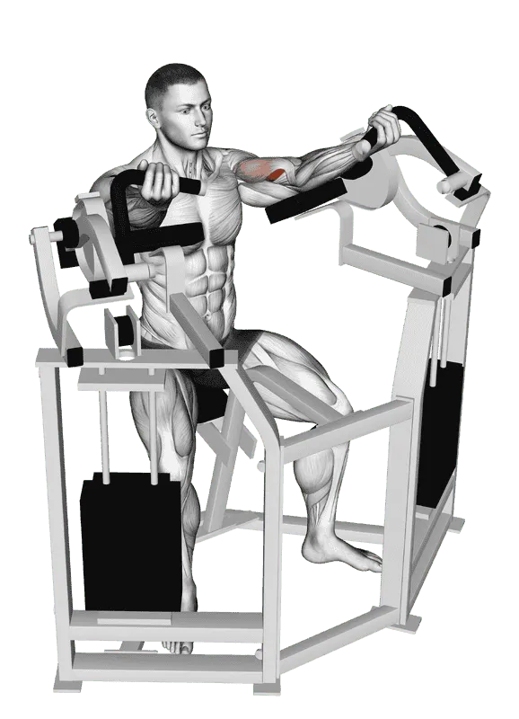 Lever Bicep Curl