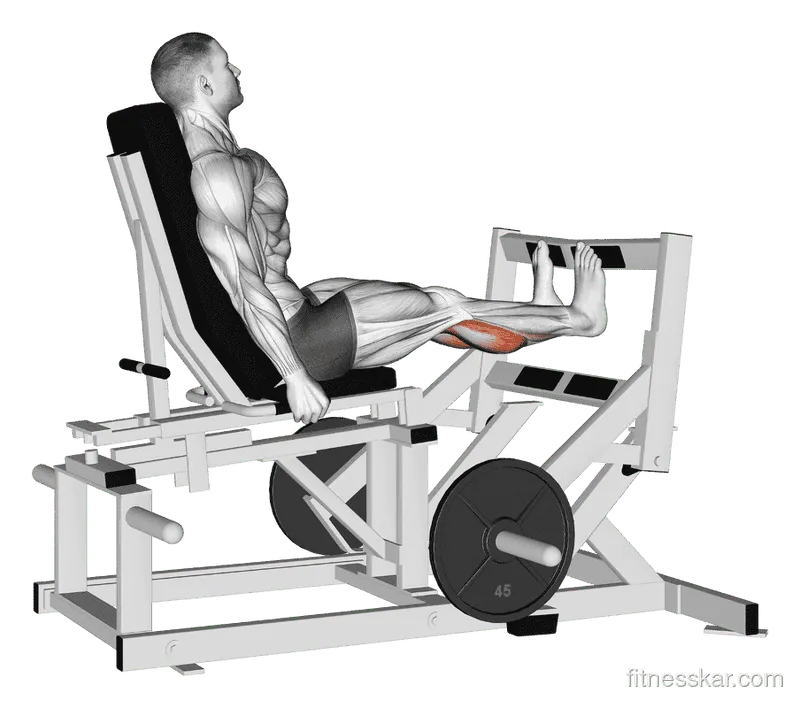 Lever Calf Press (Plate Loaded)