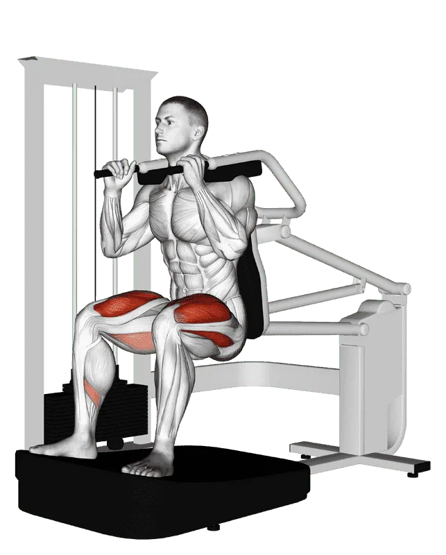 Lever Chair Squat, Male demonstration, Start