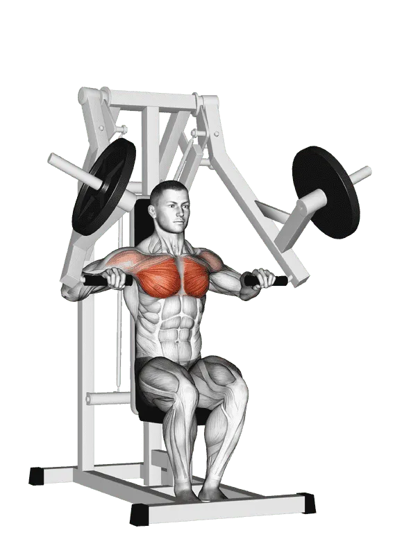 Lever Chest Press (Plate-Loaded)