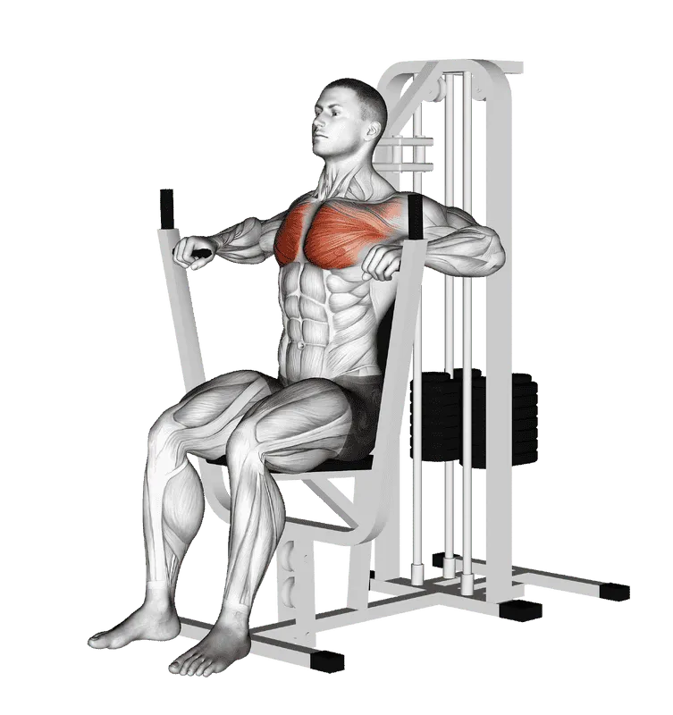 Lever Chest Press
