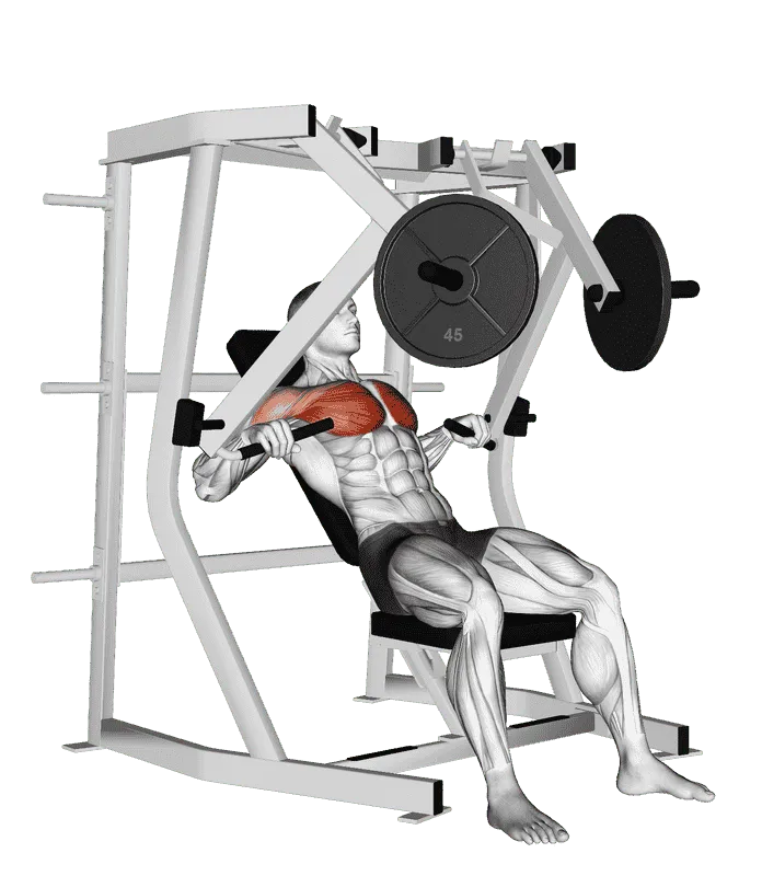 Lever Decline Chest Press