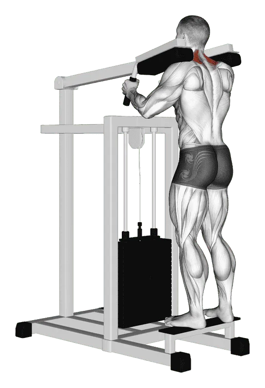 Lever Gripless Shrug (Version 2)