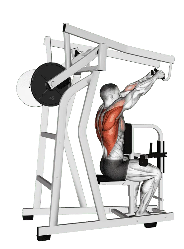 Lever High Row (Plate-Loaded)