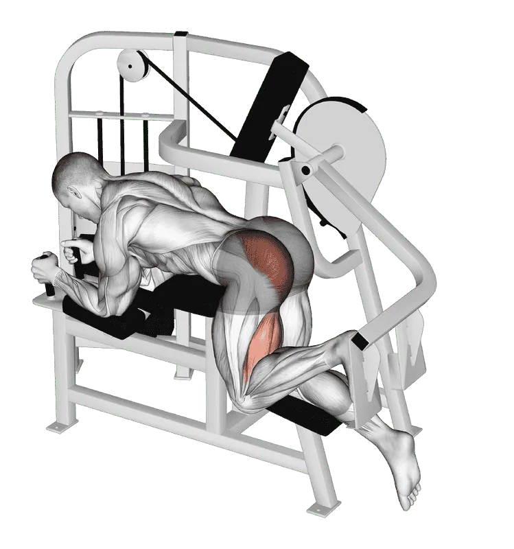 Lever Hip Extension (Version 2), Male demonstration, Start
