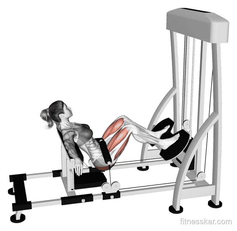 Lever Hip Thrust