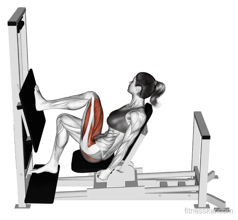 Lever Horizontal One-Leg Press
