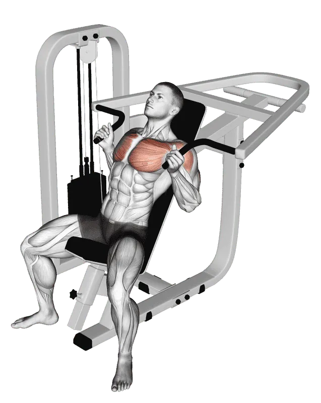 Lever Incline Hammer Chest Press
