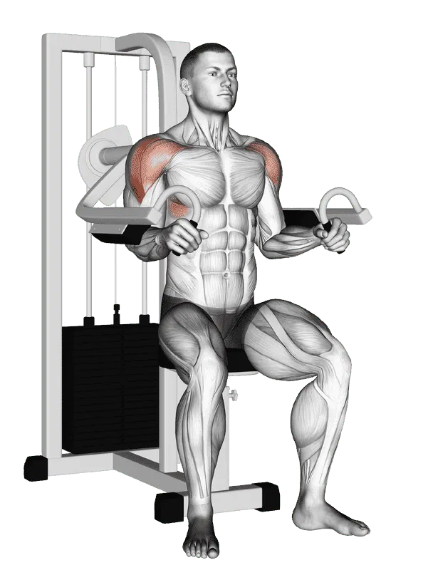 Lever Lateral Raise