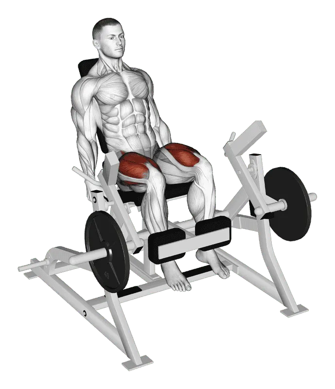 Lever Leg Extension (Plate Loaded), Male demonstration, Start