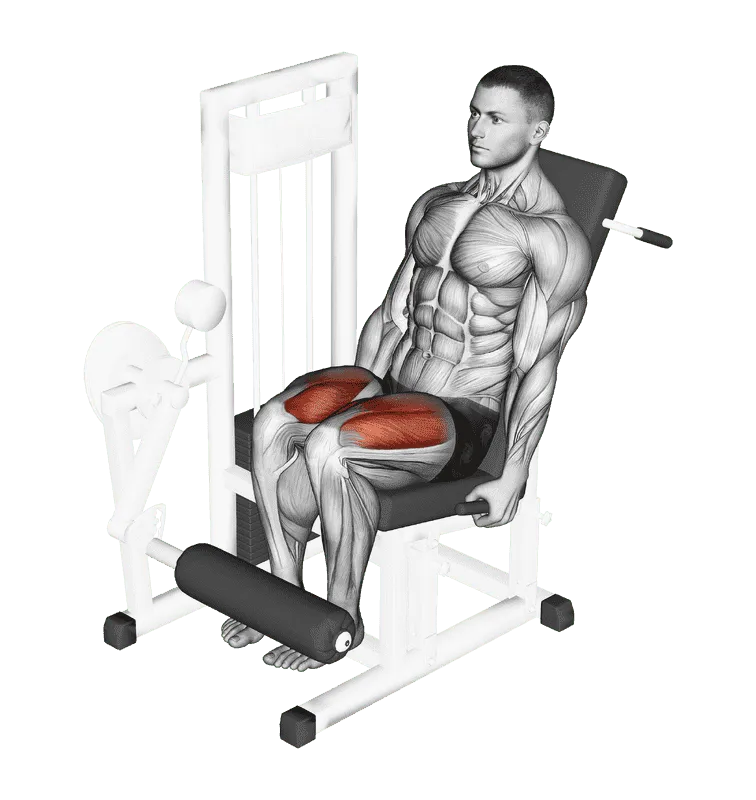 Lever Leg Extension