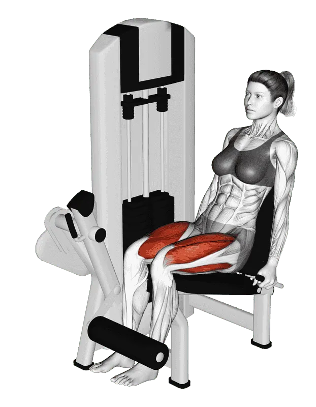 Lever Leg Extension, Female demonstration, Start