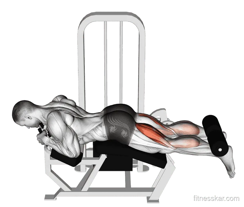 Lever Lying Leg Curl