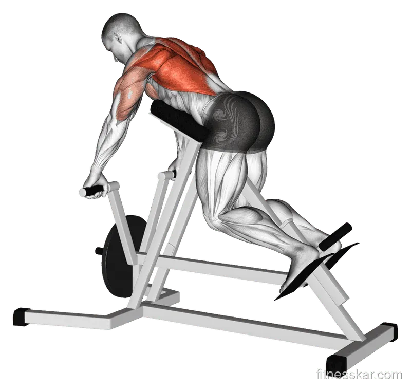 Lever Lying T-Bar Row