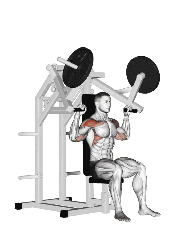 Lever Military Press (Plate-Loaded)
