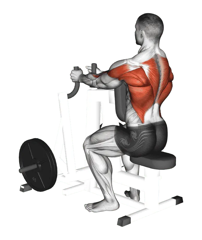 Lever Narrow Grip Seated Row (Plate-Loaded)