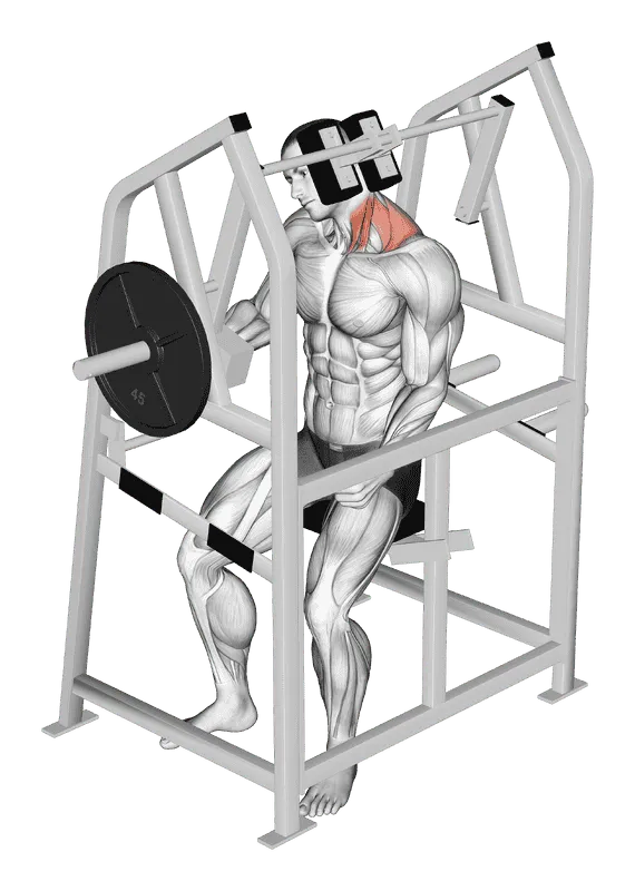 Lever Neck Left Side Flexion (Plate-Loaded), Male demonstration, Start