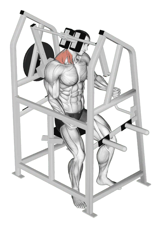 Lever Neck Right Side Flexion (Plate Loaded), Male demonstration, Start