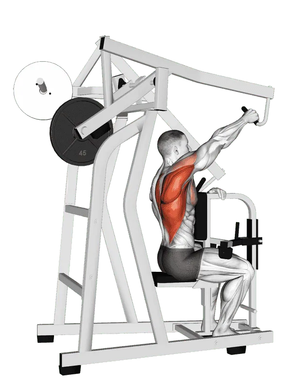 Lever One Arm Lateral High Row, Male demonstration, Start