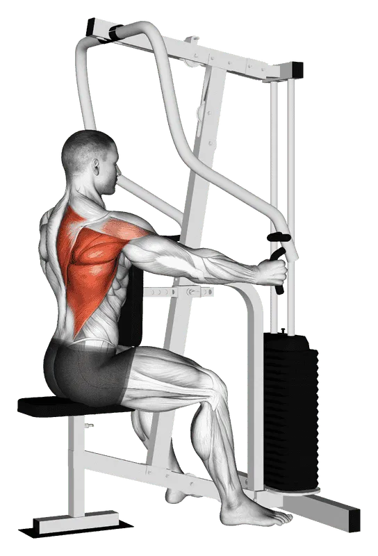 Lever One Arm Seated Row (Seated Row Machine)